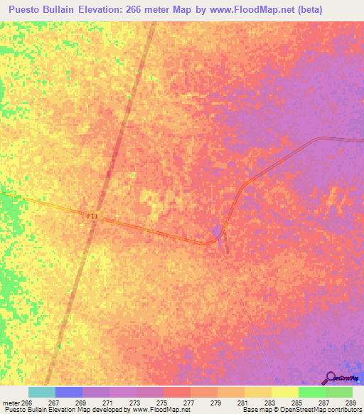 Puesto Bullain,Paraguay Elevation Map