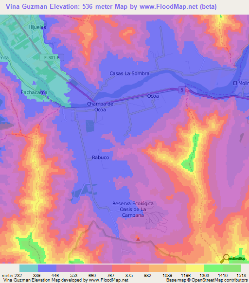 Vina Guzman,Chile Elevation Map