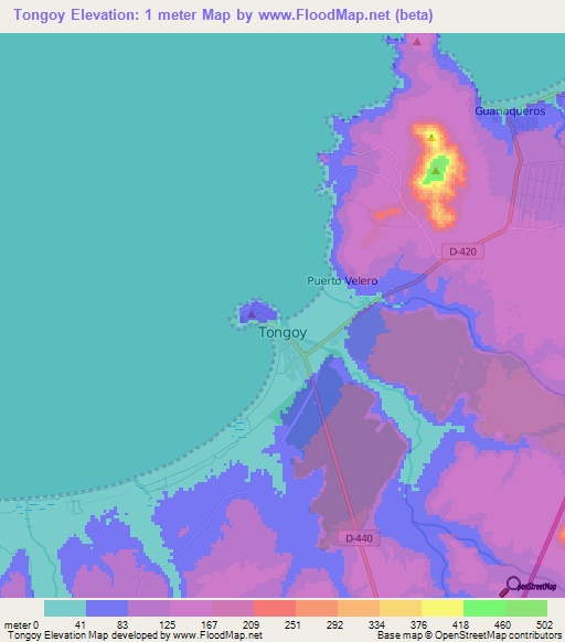 Tongoy,Chile Elevation Map