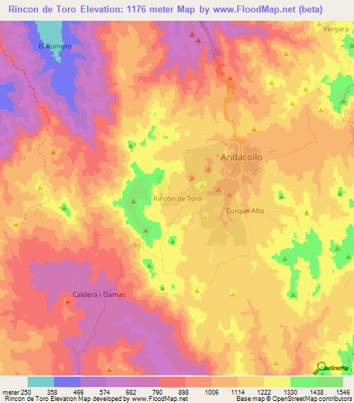 Rincon de Toro,Chile Elevation Map