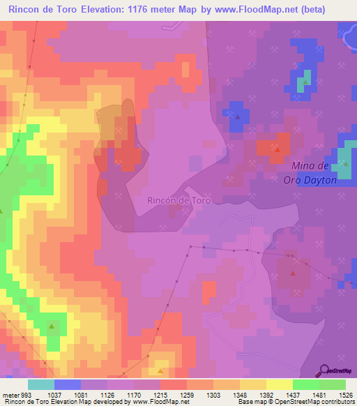 Rincon de Toro,Chile Elevation Map