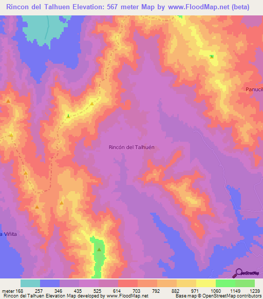 Rincon del Talhuen,Chile Elevation Map