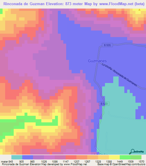 Rinconada de Guzman,Chile Elevation Map