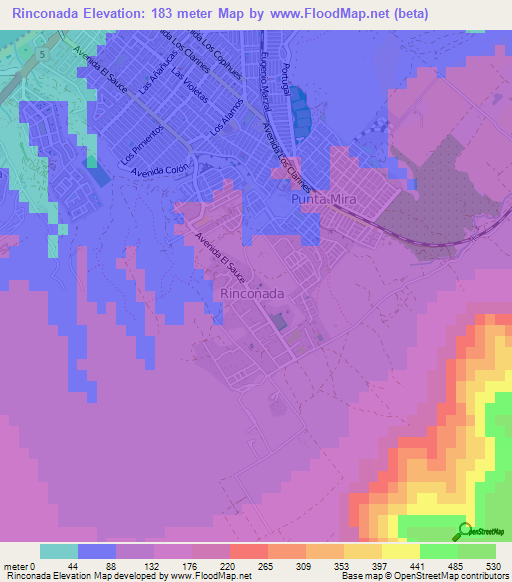 Rinconada,Chile Elevation Map