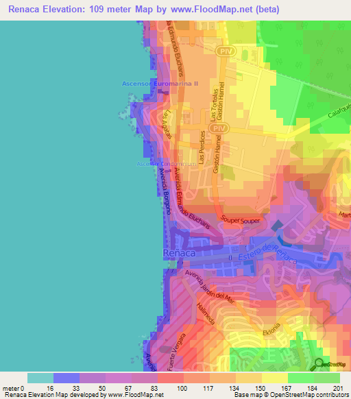 Renaca,Chile Elevation Map