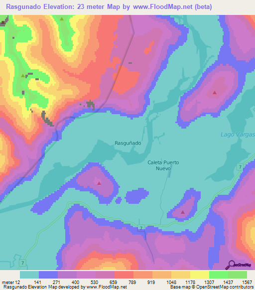 Rasgunado,Chile Elevation Map