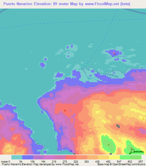 Puerto Navarino,Chile Elevation Map