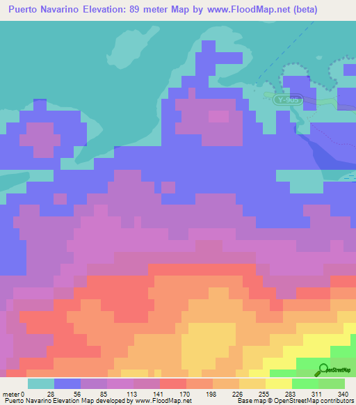 Puerto Navarino,Chile Elevation Map