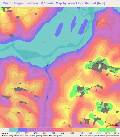 Puerto Alegre,Chile Elevation Map