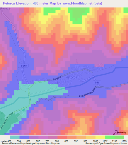 Petorca,Chile Elevation Map
