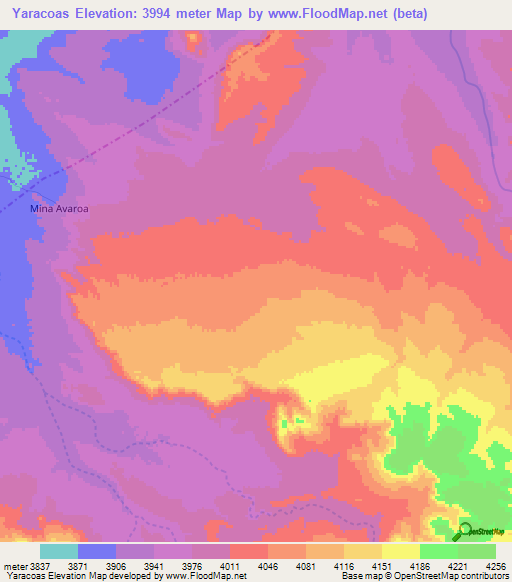 Yaracoas,Bolivia Elevation Map