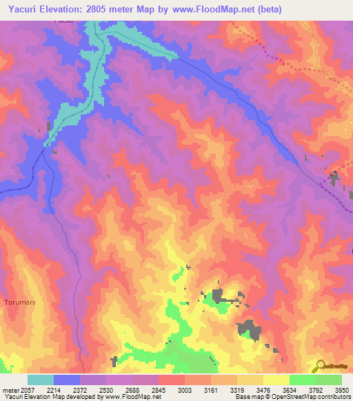 Yacuri,Bolivia Elevation Map