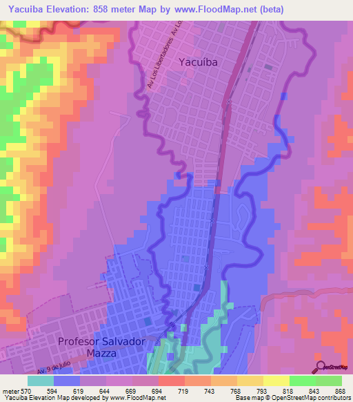 Yacuiba,Bolivia Elevation Map