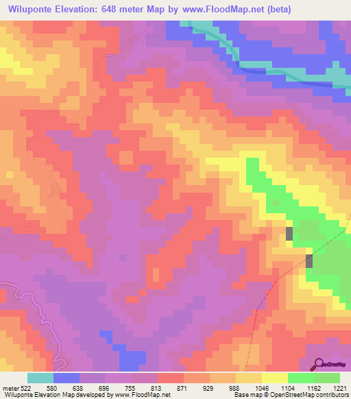 Wiluponte,Bolivia Elevation Map
