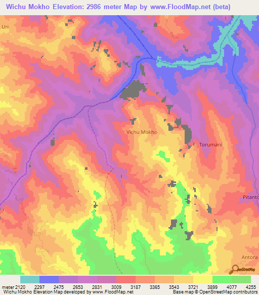 Wichu Mokho,Bolivia Elevation Map