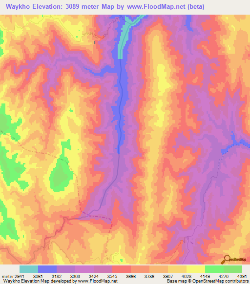 Waykho,Bolivia Elevation Map