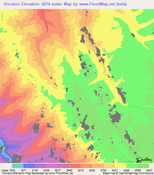 Vizcaino,Bolivia Elevation Map