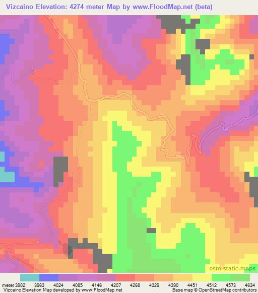 Vizcaino,Bolivia Elevation Map