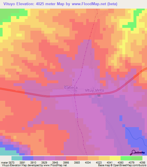 Vituyo,Bolivia Elevation Map