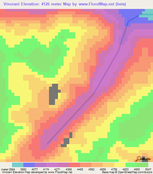 Vinorani,Bolivia Elevation Map