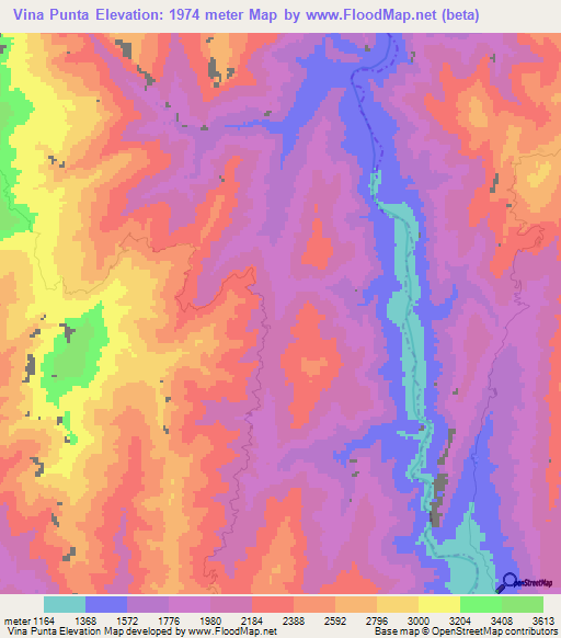Vina Punta,Bolivia Elevation Map