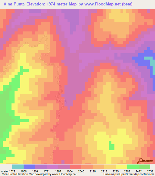 Vina Punta,Bolivia Elevation Map