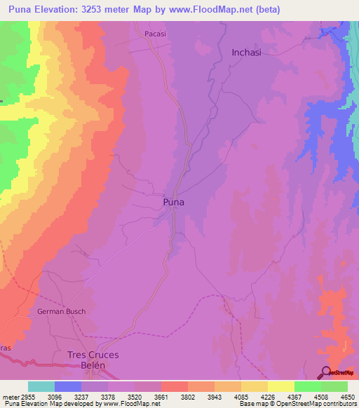 Puna,Bolivia Elevation Map