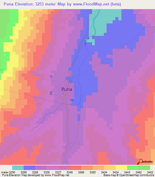 Puna,Bolivia Elevation Map