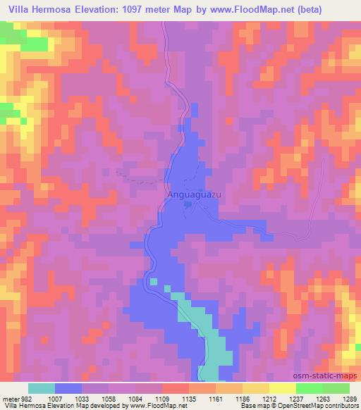 Villa Hermosa,Bolivia Elevation Map