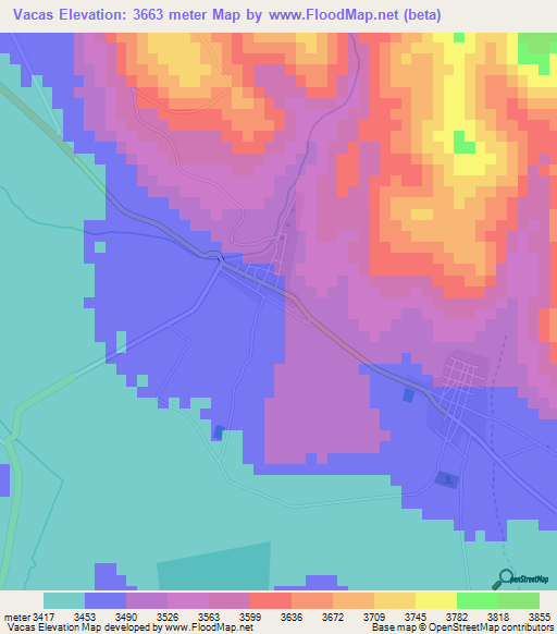 Vacas,Bolivia Elevation Map