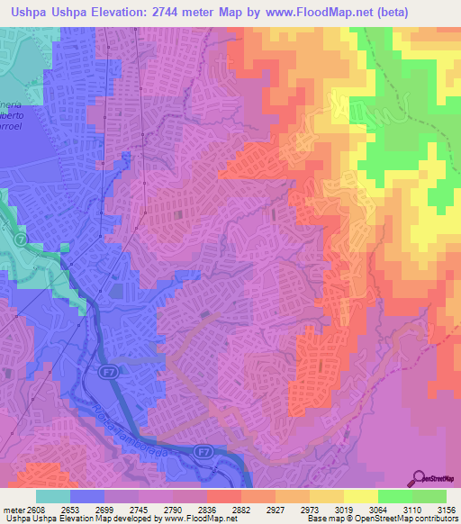 Ushpa Ushpa,Bolivia Elevation Map