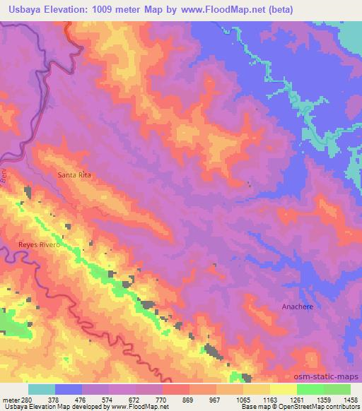 Usbaya,Bolivia Elevation Map
