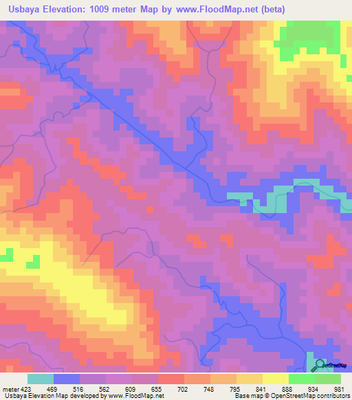 Usbaya,Bolivia Elevation Map