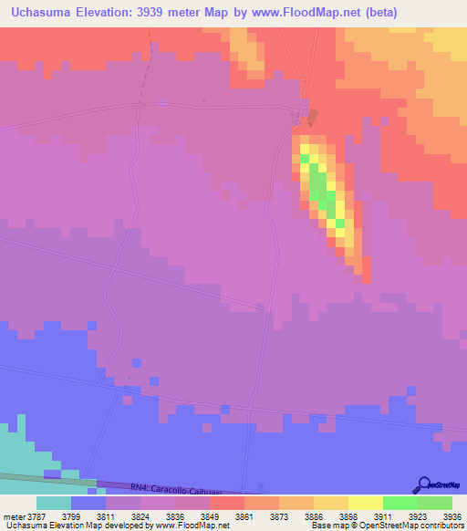 Uchasuma,Bolivia Elevation Map