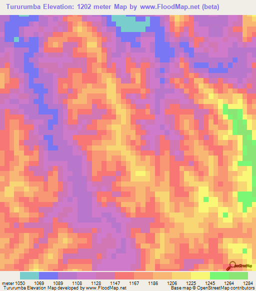 Tururumba,Bolivia Elevation Map