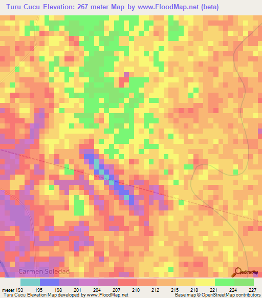 Turu Cucu,Bolivia Elevation Map