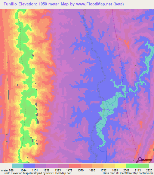 Tunillo,Bolivia Elevation Map