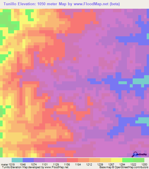 Tunillo,Bolivia Elevation Map