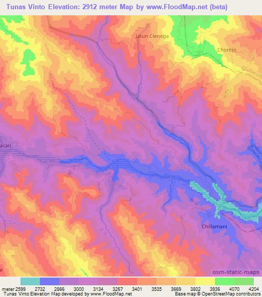 Tunas Vinto,Bolivia Elevation Map