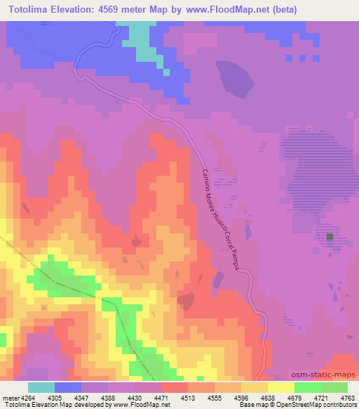 Totolima,Bolivia Elevation Map