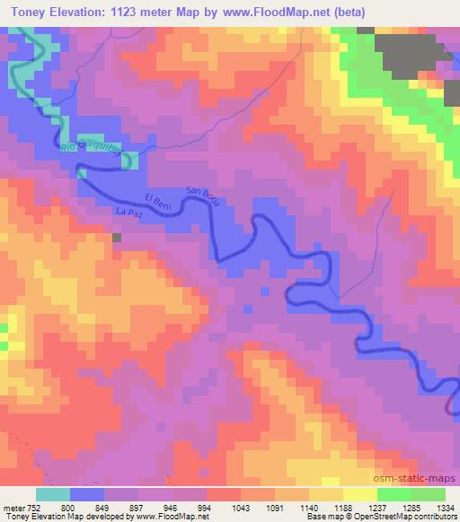 Toney,Bolivia Elevation Map