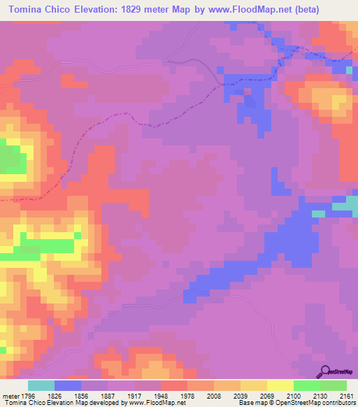 Tomina Chico,Bolivia Elevation Map