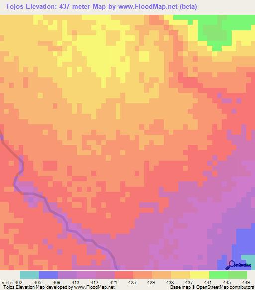 Tojos,Bolivia Elevation Map