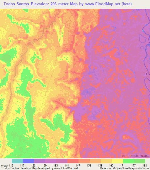 Todos Santos,Bolivia Elevation Map
