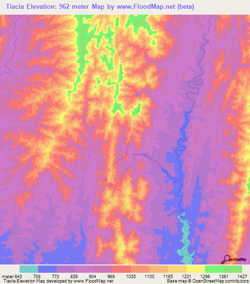 Tiacia,Bolivia Elevation Map