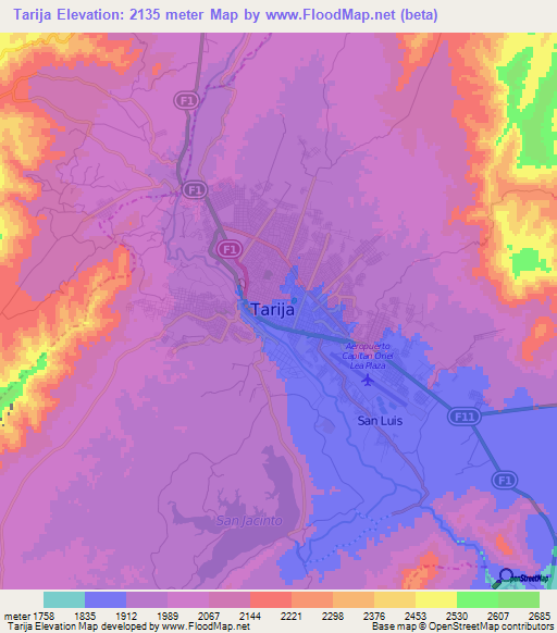 Tarija,Bolivia Elevation Map
