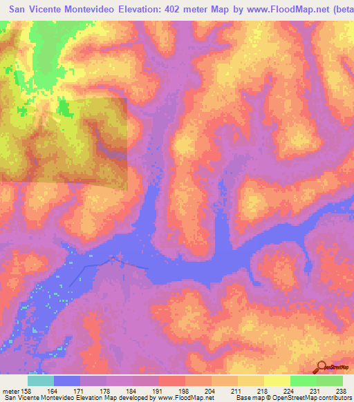San Vicente Montevideo,Bolivia Elevation Map