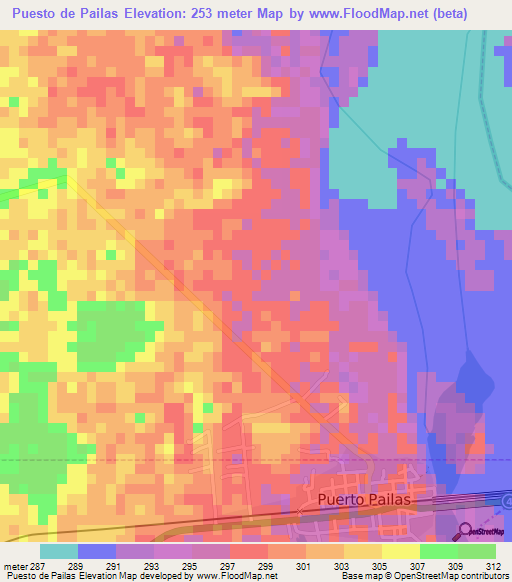 Puesto de Pailas,Bolivia Elevation Map