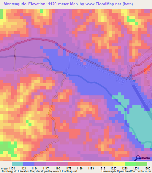 Monteagudo,Bolivia Elevation Map