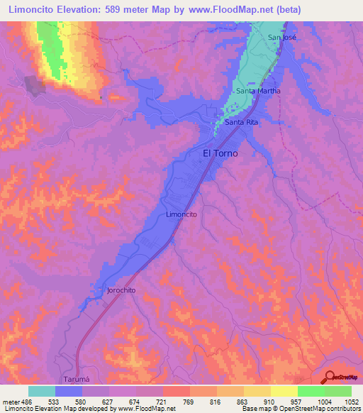 Limoncito,Bolivia Elevation Map